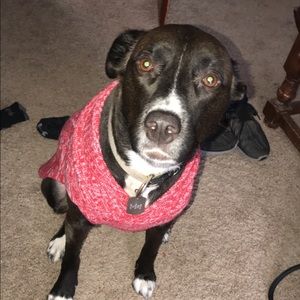 Meet your Posher, Laura beth